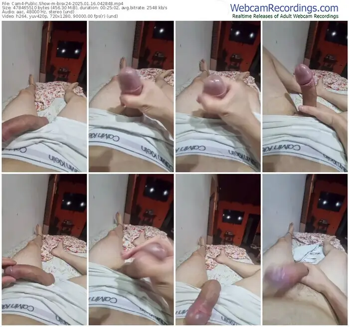 2025/01/16/cam4-bisx24-04-28-48