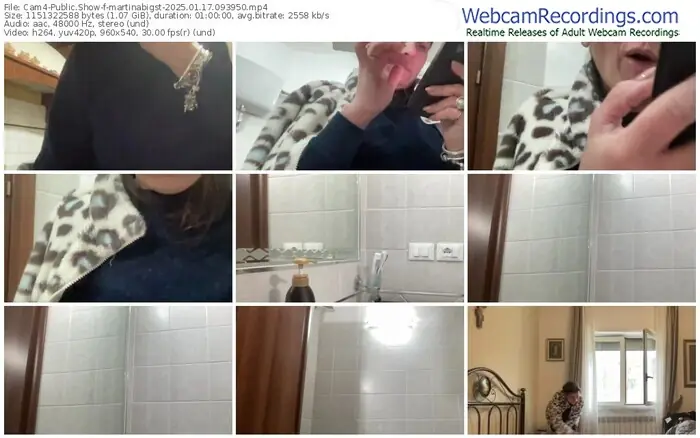 2025/01/17/cam4-martinabigst-09-39-50