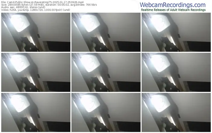 2025/01/17/cam4-raveisking75-05-39-26