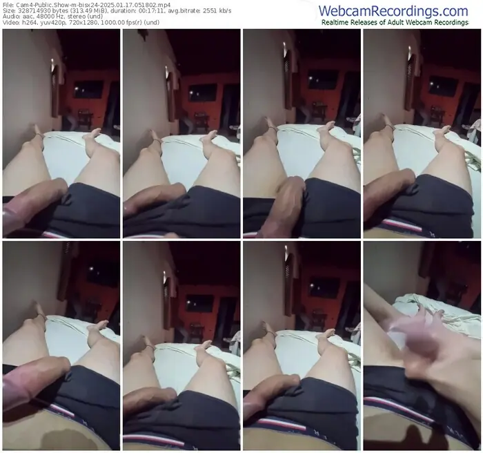 2025/01/17/cam4-bisx24-05-18-02