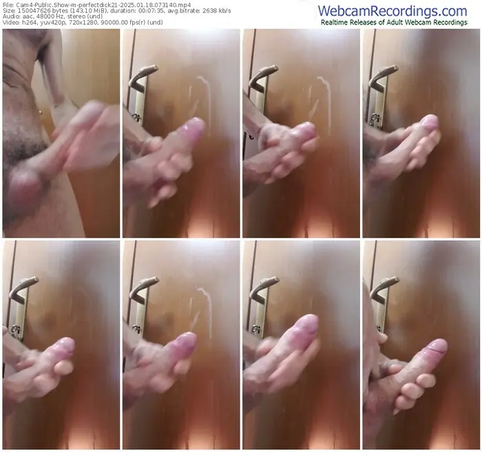 2025/01/18/cam4-perfectdick21-07-31-40