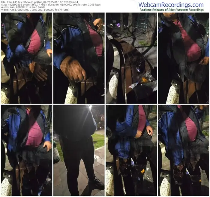 2025/01/18/cam4-pollen_07-18-56-29