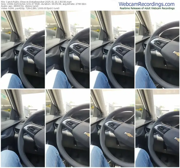 2025/01/20/cam4-dotadoszuber-13-53-30