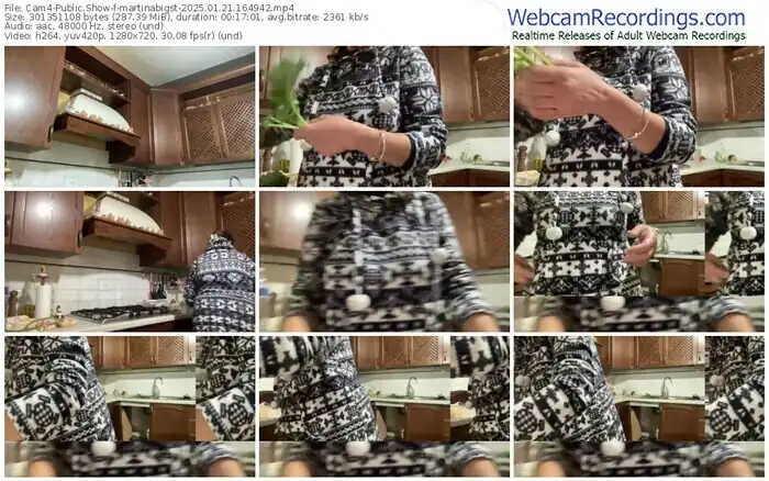 2025/01/21/cam4-martinabigst-16-49-42