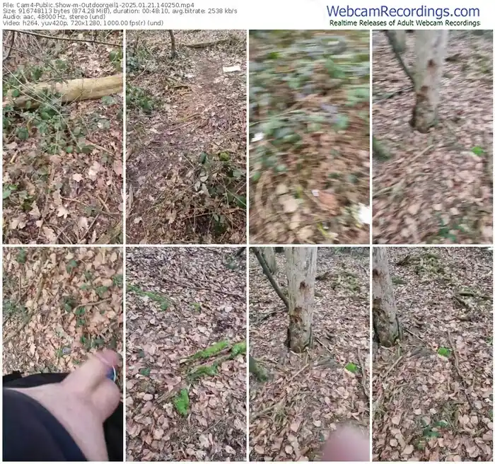 2025/01/21/cam4-outdoorgeil1-14-02-50