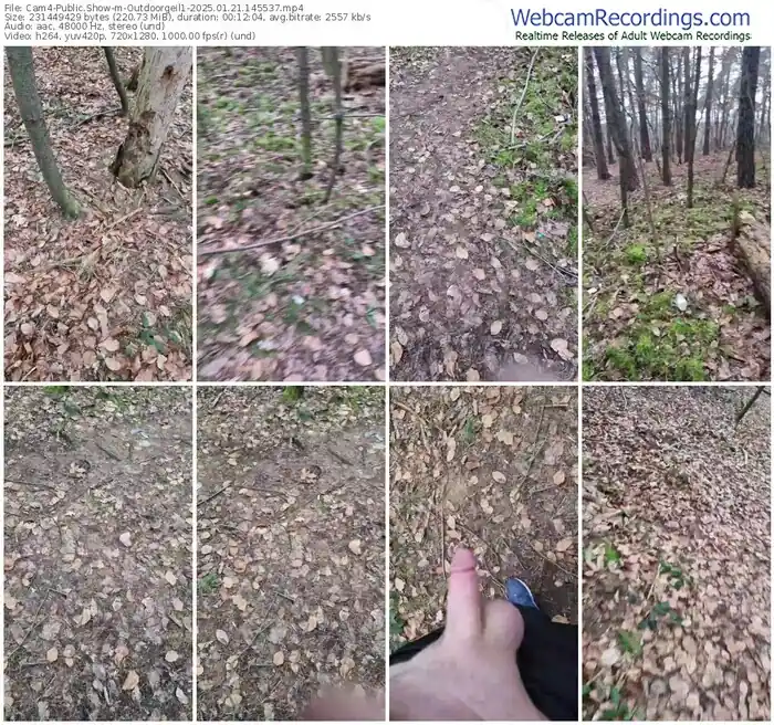 2025/01/21/cam4-outdoorgeil1-14-55-37