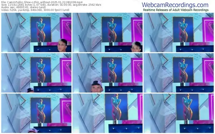 2025/01/22/cam4-thin_without-08-10-38