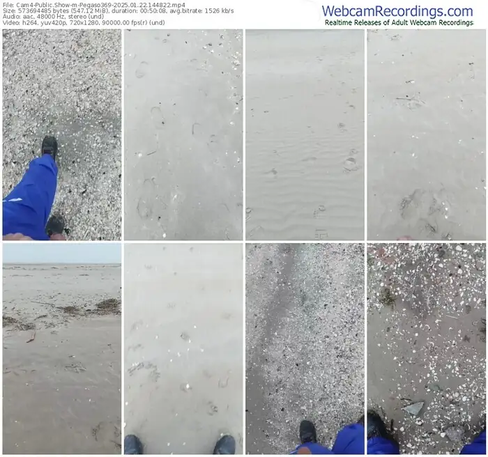 2025/01/22/cam4-pegaso369-14-48-22