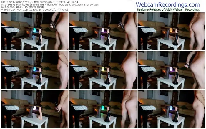 2025/01/23/cam4-effetxmiroir-21-04-21