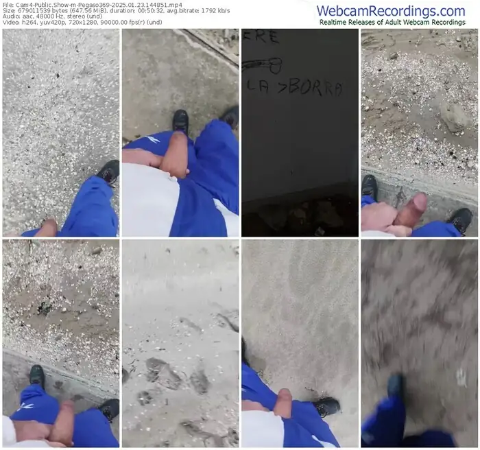 2025/01/23/cam4-pegaso369-14-48-51