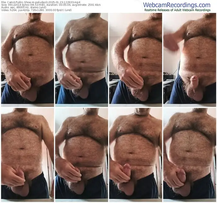 2025/01/23/cam4-peludao3-12-29-33