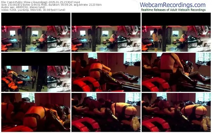 2025/01/25/cam4-boundgag1-15-30-47