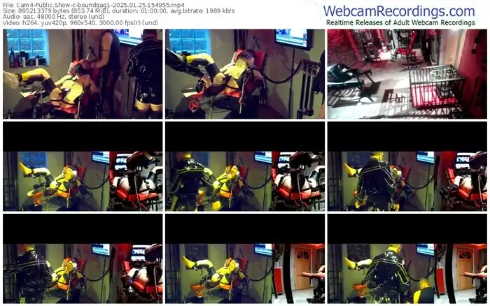 2025/01/25/cam4-boundgag1-15-49-55