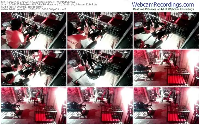 2025/01/25/cam4-boundgag1-21-54-54