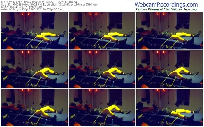 2025/01/25/cam4-boundgag1-23-49-10