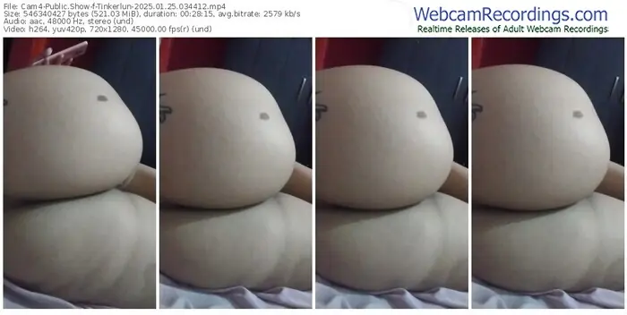 2025/01/25/cam4-tinkerlun-03-44-12