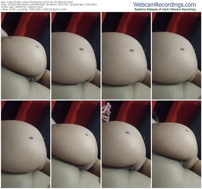 2025/01/25/cam4-tinkerlun-05-52-22