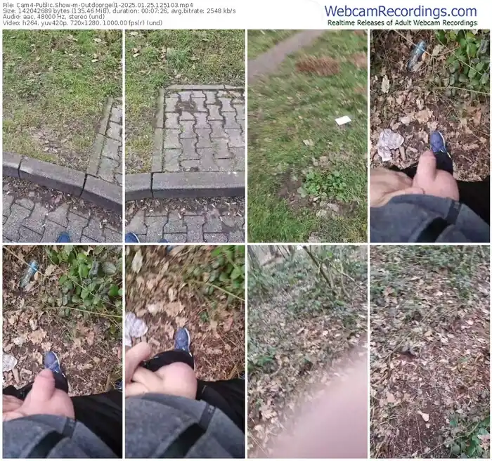 2025/01/25/cam4-outdoorgeil1-12-51-03