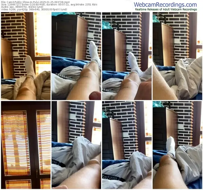 2025/01/25/cam4-pulvi-09-37-28