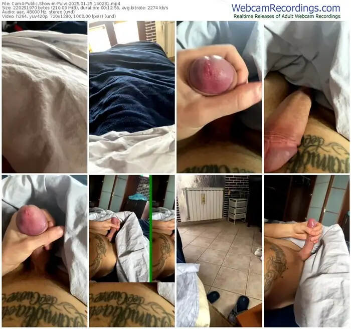 2025/01/25/cam4-pulvi-14-02-31