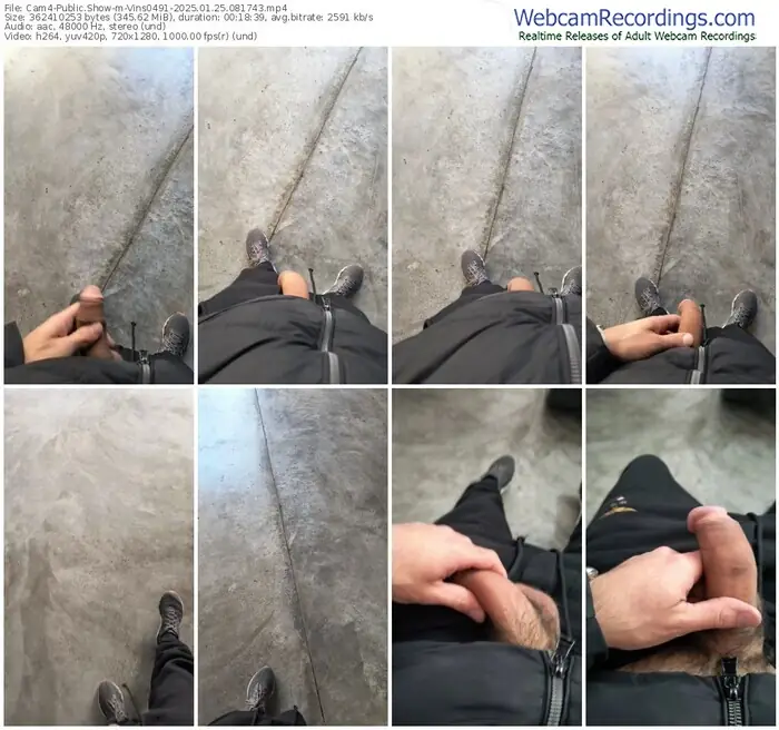 2025/01/25/cam4-vins0491-08-17-43