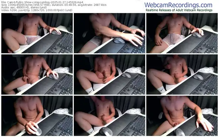 2025/01/27/cam4-heycumboy-14-53-26