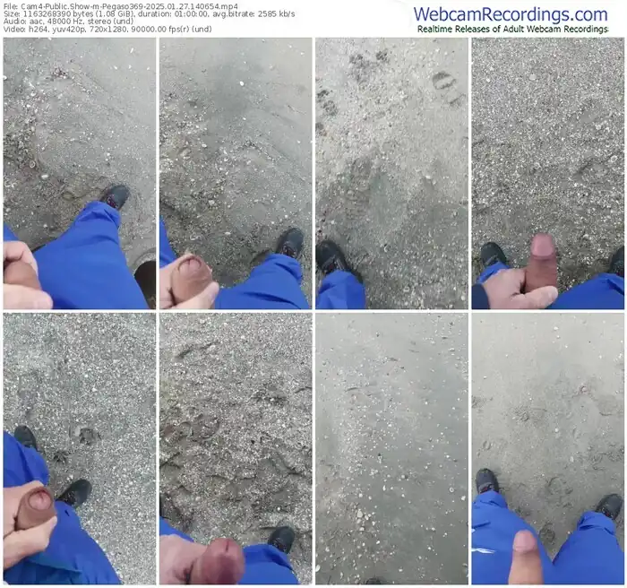 2025/01/27/cam4-pegaso369-14-06-54