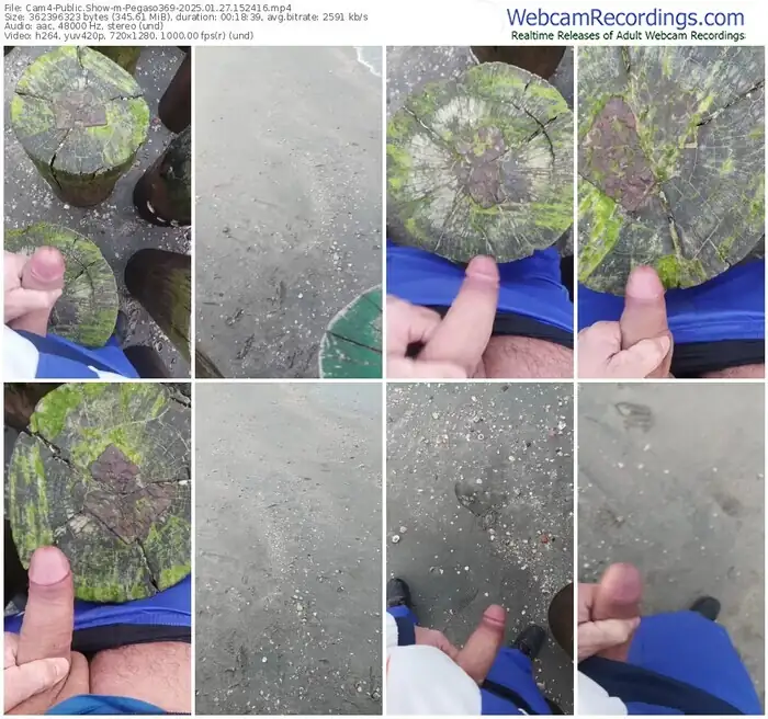 2025/01/27/cam4-pegaso369-15-24-16