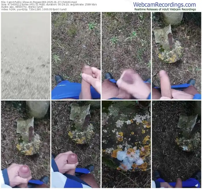 2025/01/27/cam4-pegaso369-15-44-40
