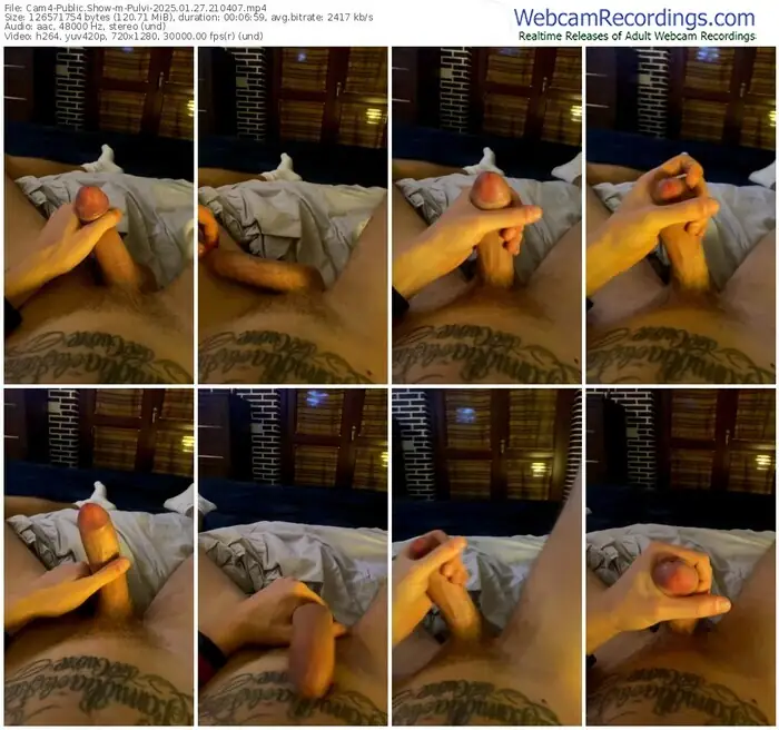 2025/01/27/cam4-pulvi-21-04-07