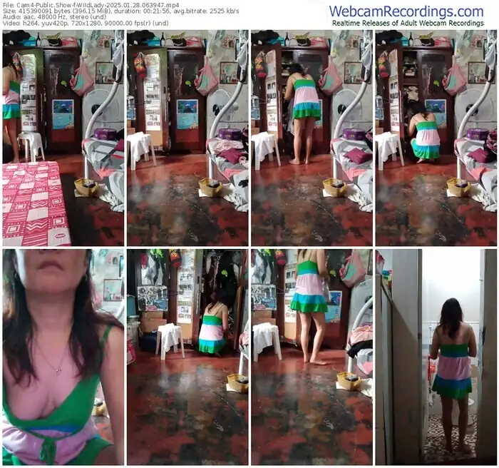 2025/01/28/cam4-wildlady-06-39-47