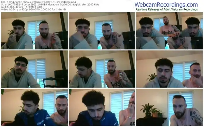 2025/01/29/cam4-valerio179-13-46-26