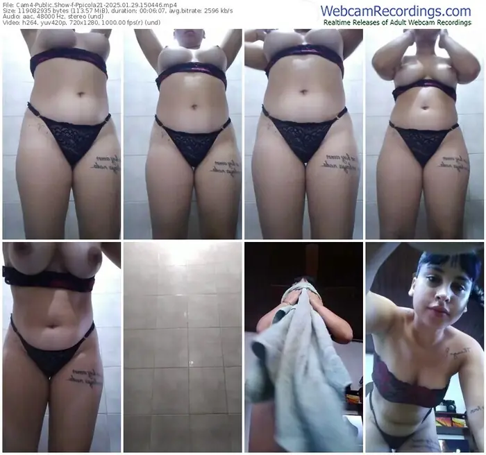 2025/01/29/cam4-ppicola21-15-04-46