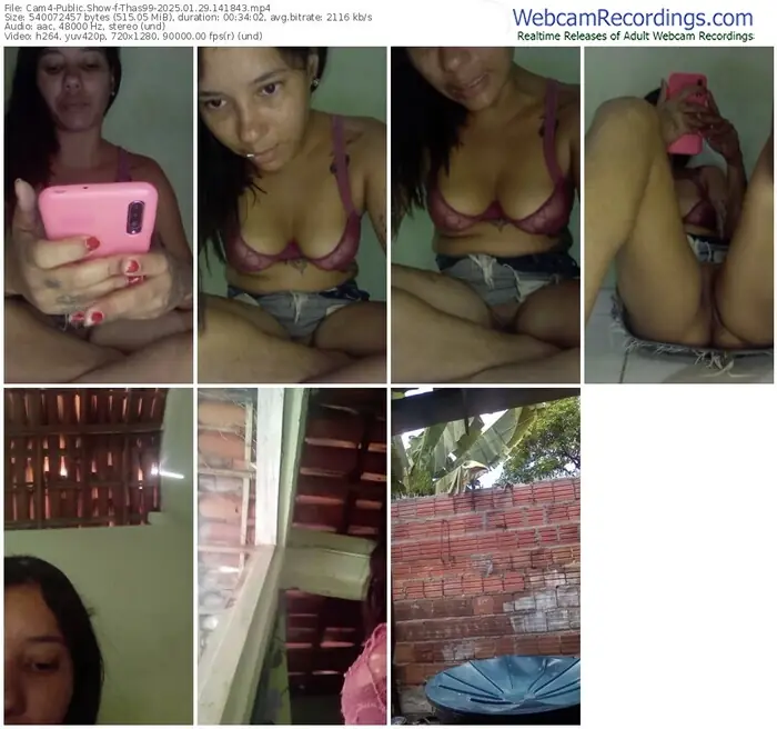 2025/01/29/cam4-thas99-14-18-43