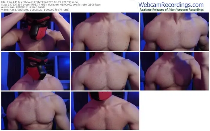 2025/01/29/cam4-frabroker-20-16-33