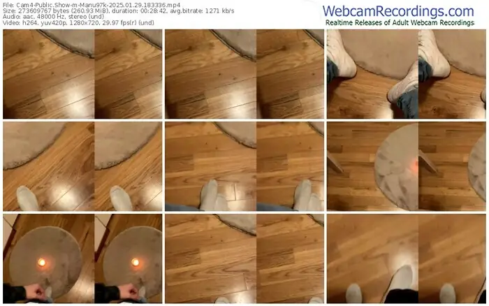 2025/01/29/cam4-manu97k-18-33-36