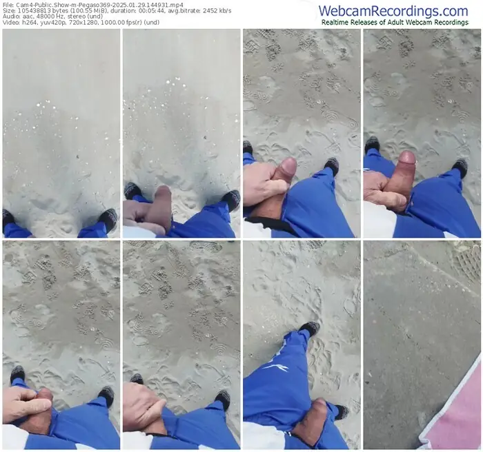 2025/01/29/cam4-pegaso369-14-49-31