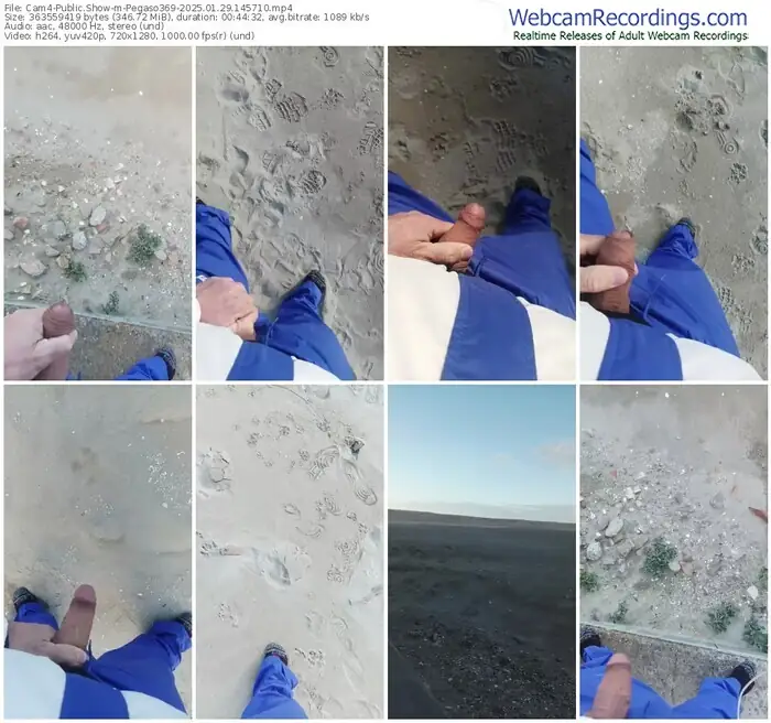 2025/01/29/cam4-pegaso369-14-57-10