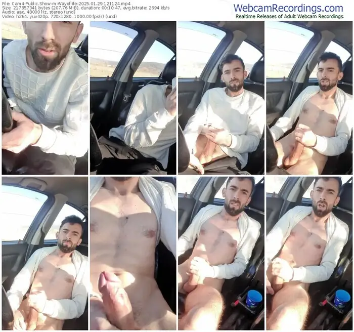 2025/01/29/cam4-wayoflife-12-11-24