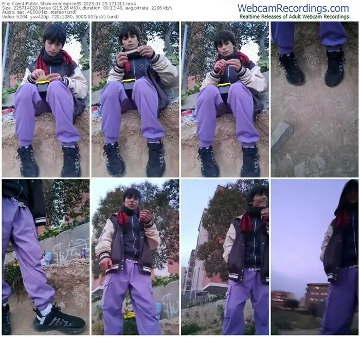 2025/01/29/cam4-icespice69-17-12-11