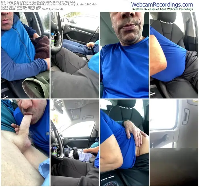 2025/01/29/cam4-likescock5-12-37-16