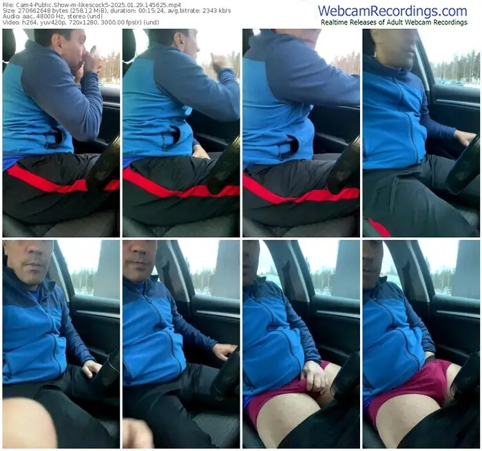 2025/01/29/cam4-likescock5-14-56-25