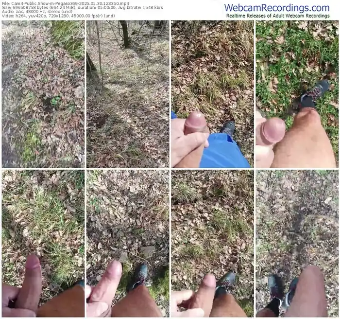 2025/01/30/cam4-pegaso369-12-33-50