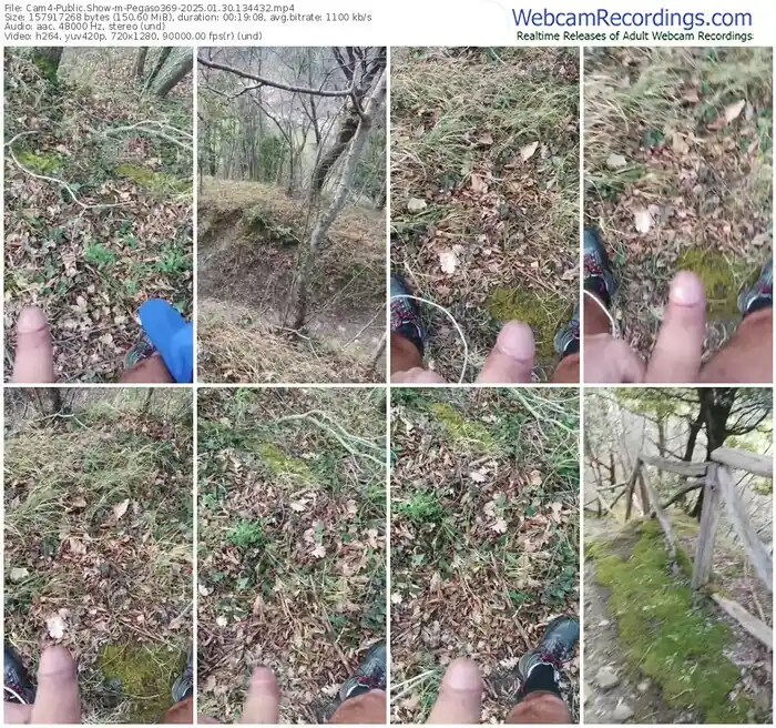 2025/01/30/cam4-pegaso369-13-44-32