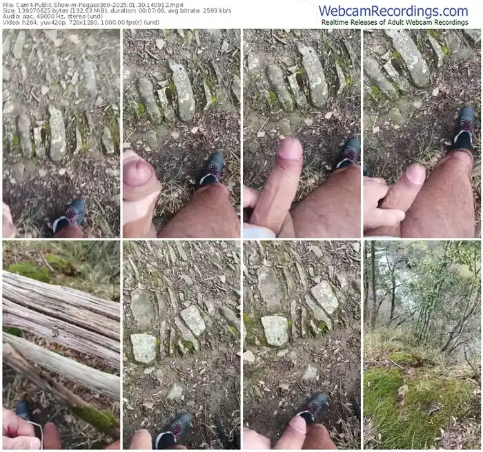 2025/01/30/cam4-pegaso369-14-09-12