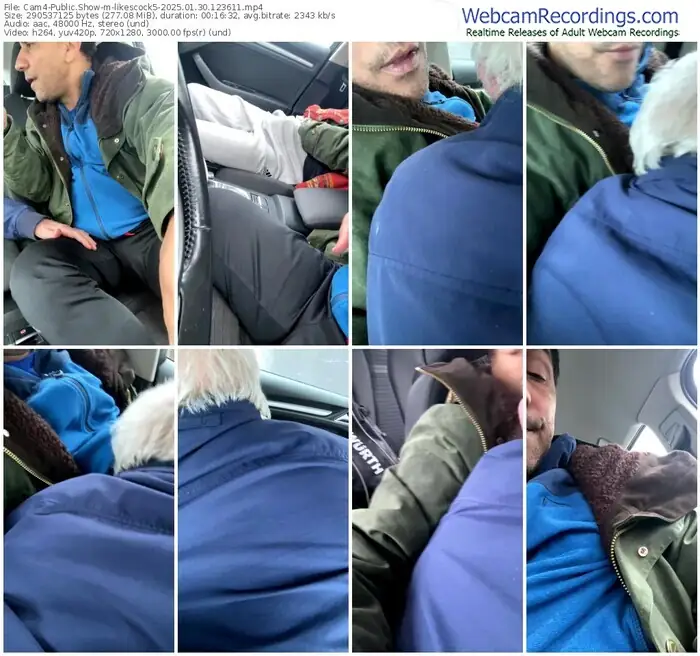 2025/01/30/cam4-likescock5-12-36-11