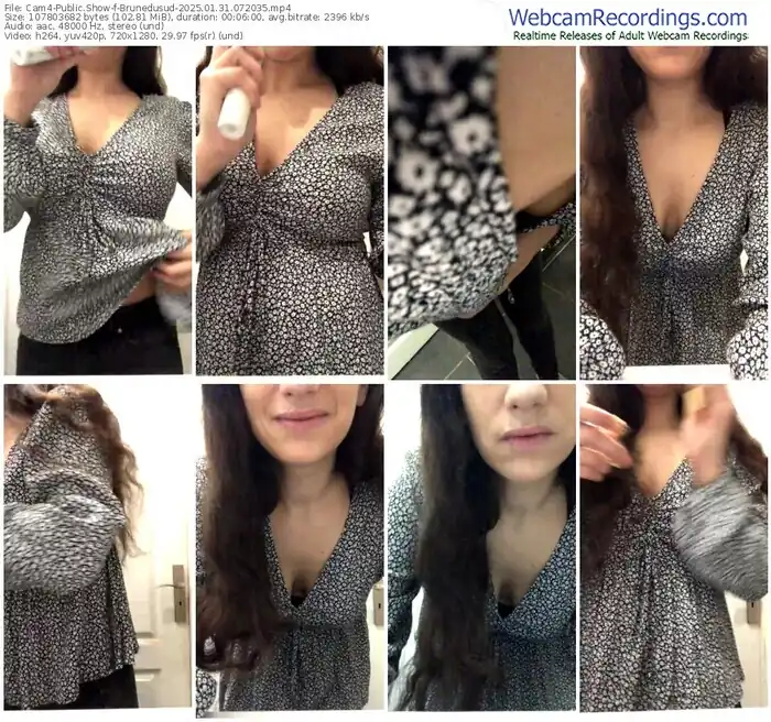 2025/01/31/cam4-brunedusud-07-20-35