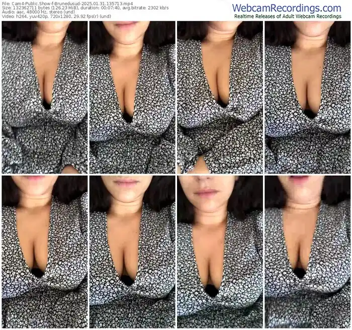2025/01/31/cam4-brunedusud-13-57-13