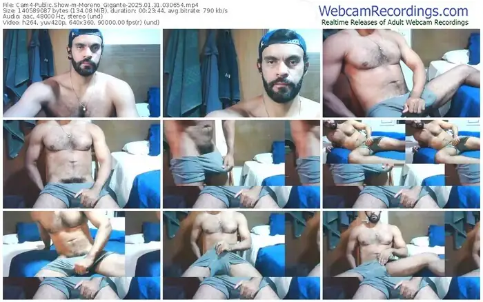 2025/01/31/cam4-moreno_gigante-03-06-54