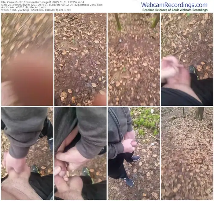 2025/01/31/cam4-outdoorgeil1-13-22-54
